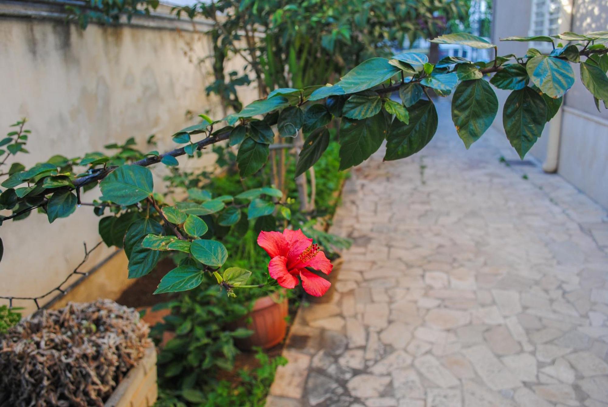 Villa Magnolia Con Giardino Bari Extérieur photo